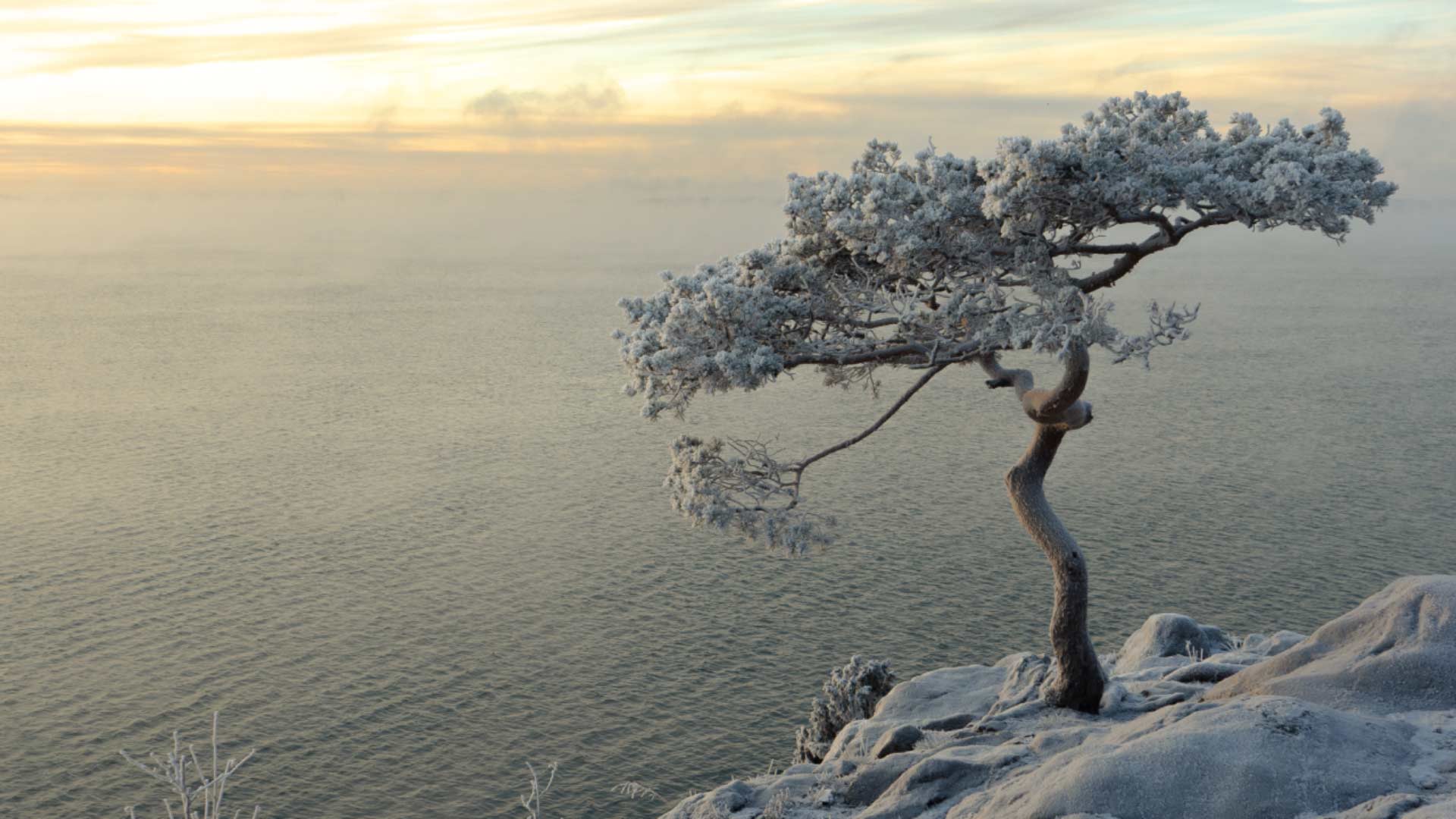 Thinking About Embedding Organisational Resilience